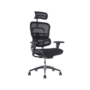 SILLA ERGOFIT