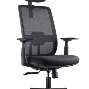 SILLA EVA