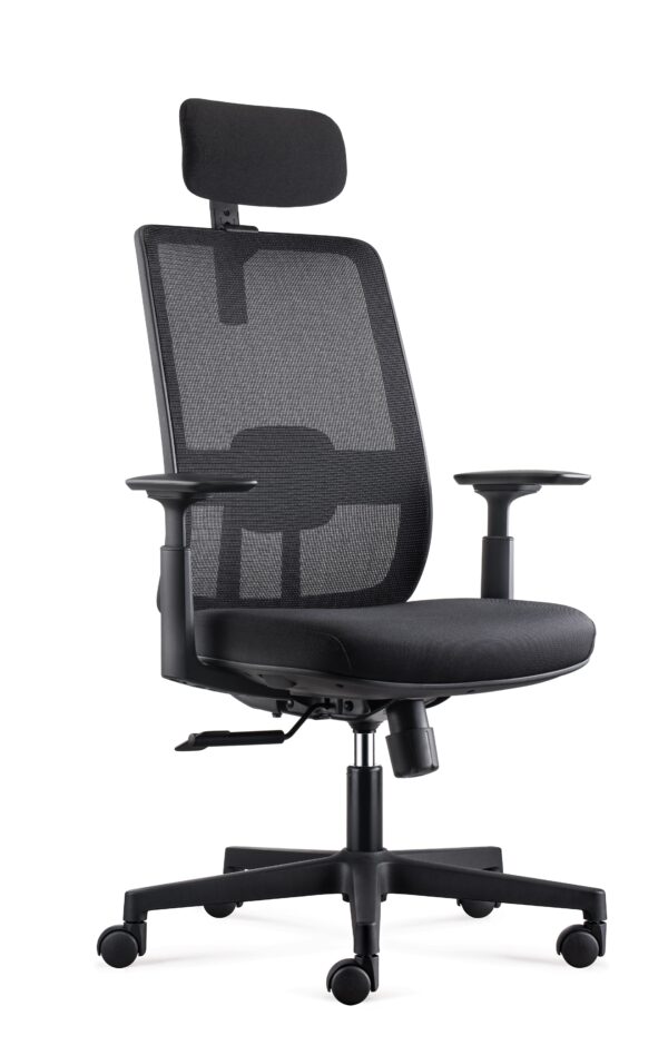 SILLA EVA - Imagen 2