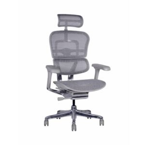 SILLA EJECUTIVA ERGOHUMAN FIT GRIS