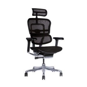 SILLA EJECUTIVA ERGOHUMAN ELITE MALLA