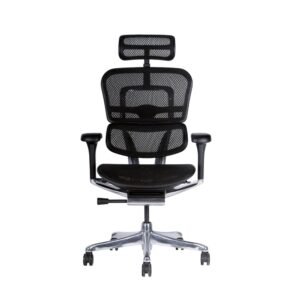 SILLA EJECUTIVA ERGOHUMAN ELITE MALLA